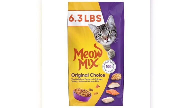 Best Affordable Dry Cat Food