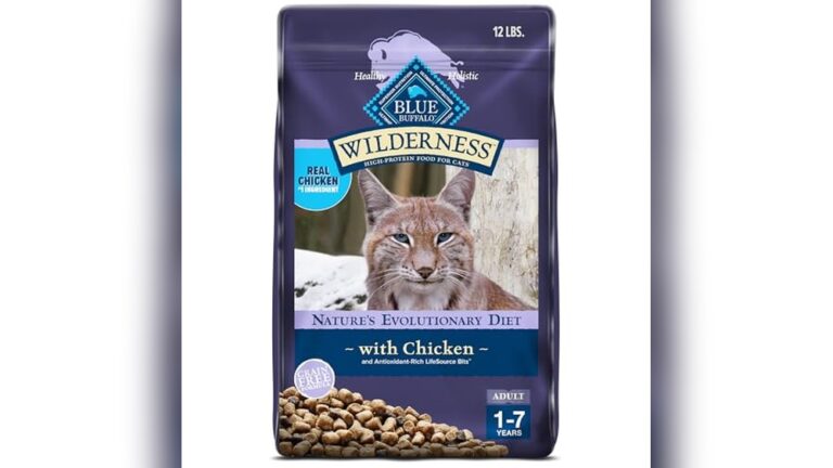 Best Grain Free Dry Cat Food