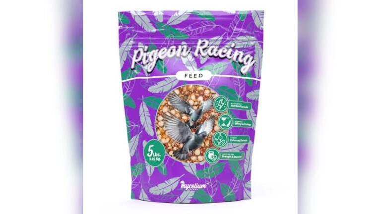 Best Protein for Pigeons